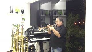 Hey There @aldinhotrompete interpreta Bette Midler com solo instrumental