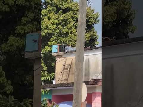 Captura por ahora la mejor de todo San Luis Palomas al cajón