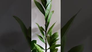 Download lagu 21 September 2022 mp3 Download lagu 21 September 2022 mp3