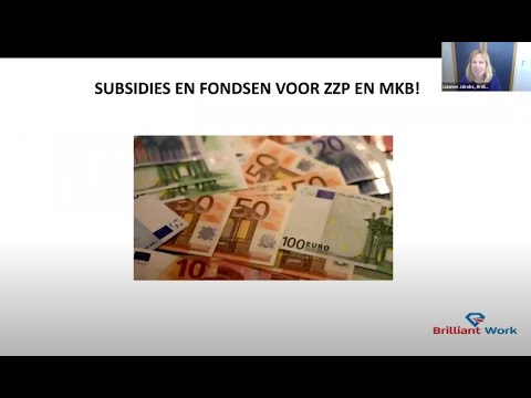 , title : 'Webinar subsidies en fondsenwerving voor ZZP en MKB ism Be United, Brilliant Work en Boonstoppel'