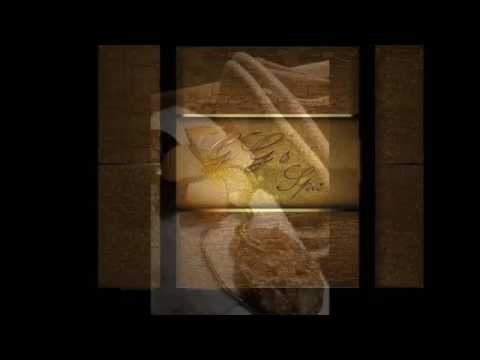 GG's Spa Pensacola FL Organic Holistic Far Infrared Vital Sauna Oxygen Facial Chromotherapy Microder