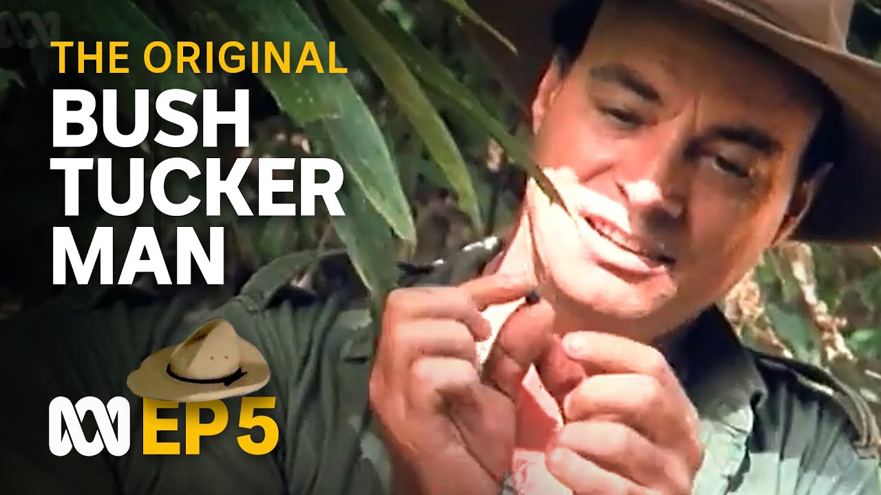 At home in the rainforest 🤠🗺️ | Bush Tucker Man | S1 EP5 | ABC Australia