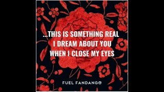 SHINY SOUL (Lyrics) - Fuel Fandango
