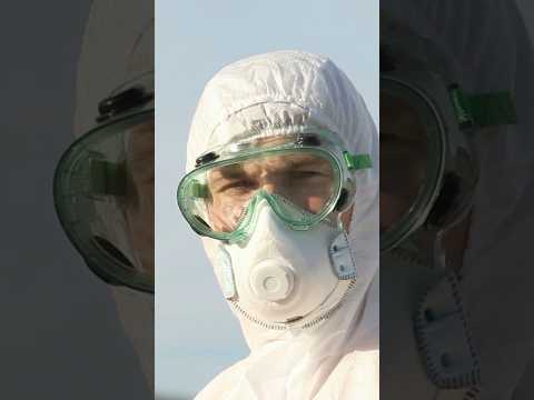 ECOLOGICAL SECTS - Sects that look normal but hide a DARK side