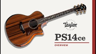 Taylor Guitars | PS14ce (Honduran Rosewood) | Video Overview