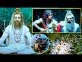 Nagarjuna Warning To Agories Damarukam Movie Best Scene Avinash Andhakasura Latest Movies