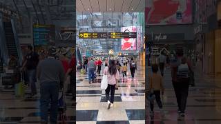 シンガポール航空フライトvlog✈️ #海外旅行 #vlog #shorts