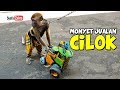 LUCU Topeng Monyet Jualan Cilok Funny Monkey