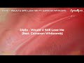 Diplo - Would U Still Love Me Ft. Cameron Whitcomb (Lyrics)
