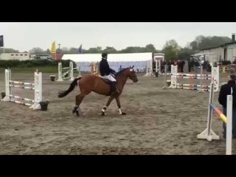 Quattro 47 v. Quadros - Con Air *2011 (Risum-Lindholm)