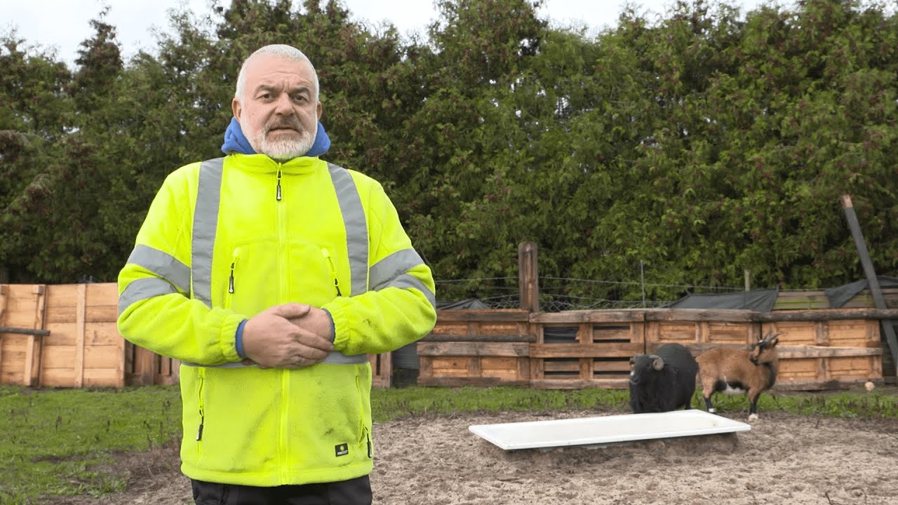 Reportage Tierpension Pfötchenglück
