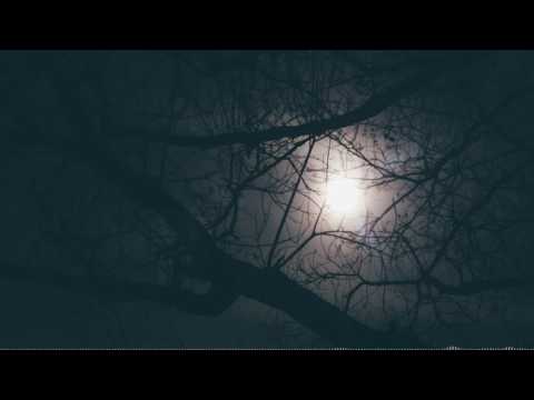 Yedgar - Aqua Rebirth