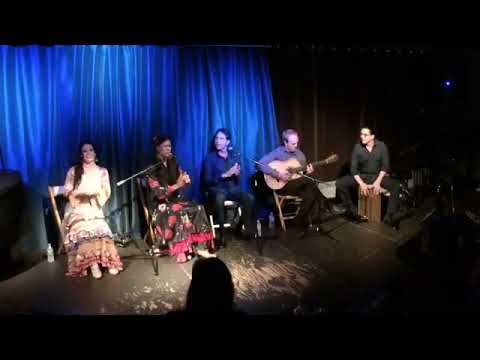 Promotional video thumbnail 2 for AguaClara Flamenco