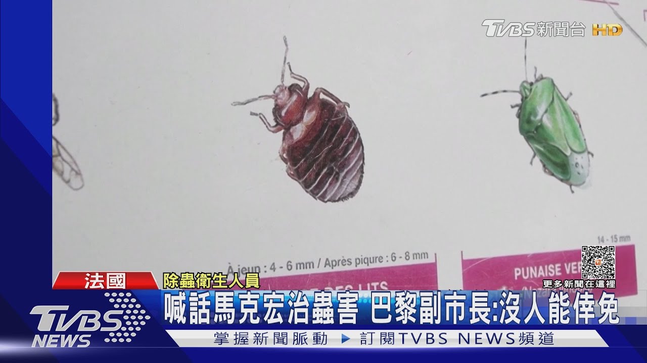 巴黎奧運前!吸血臭蟲入侵 市府急喊馬克洪救援
