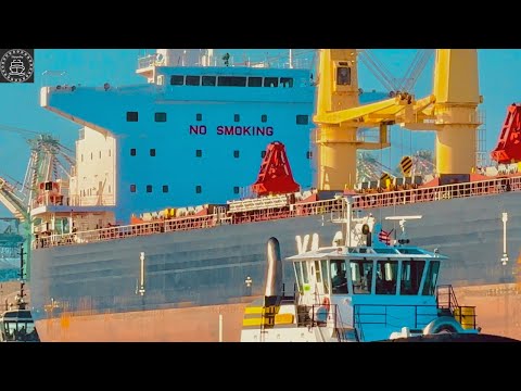 4K PORTS OF LOS ANGELES AND LONG BEACH GIANTS OF THE SEAS SHIPSPOTTING - September 2024