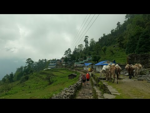 Bupsa - Paiya - Surke to Lukla | Day 6 | Everest Base Camp Trek #EBC #Hike