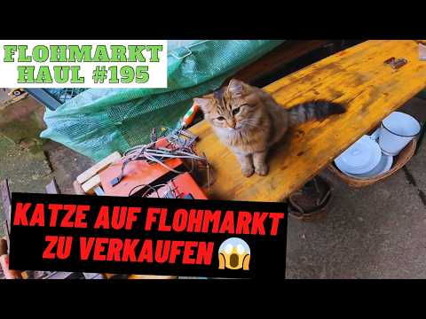 GAMEBOY BUNDLE für nur 10 EURO ?! Hof und Garagen FLOHMARKT ESKALIERT mal wieder...