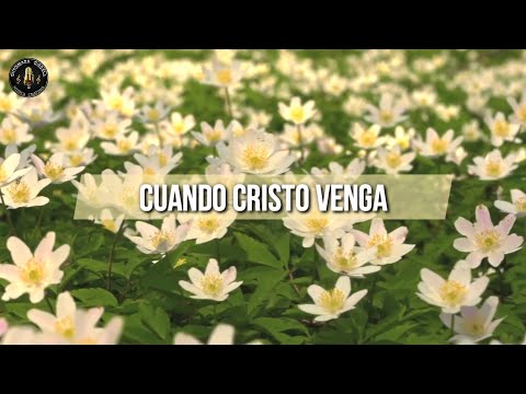 Clamor Final - Fieles Voces (PISTA+LETRA)