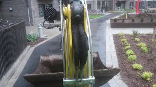 A bumpy ride to a new construction site with the Wacker Neuson mini excavator!