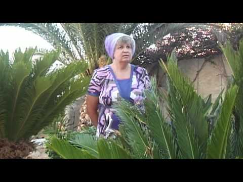 Aurica Murasan - Ne-am indepartat de casa