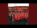 YouTube thumbnail of Swing Flags Swing by Swiss Army Concert Band & Major Christoph Walter