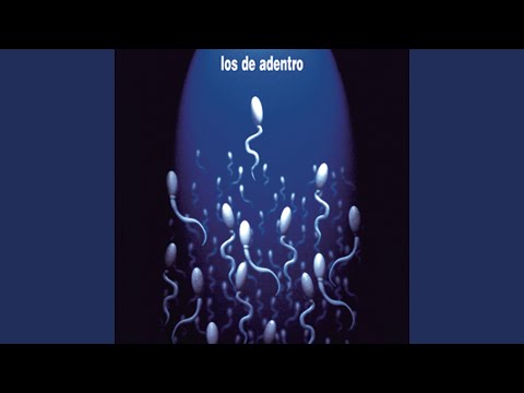 Velocidad (Album Version)