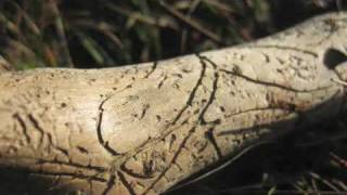 whisper 3- two poems by John Keats