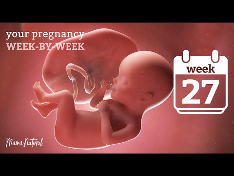 27 Weeks Pregnant - Natural Pregnancy Week-By-Week
