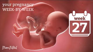 27 Weeks Pregnant - Natural Pregnancy Week-By-Week