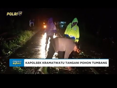 POLSEK KRAMATWATU RESPONS CEPAT TANGANI POHON TUMBANG DI JALAN RAYA
