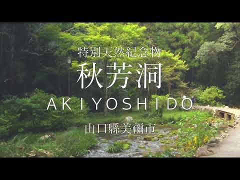 秋芳洞　繁體中文