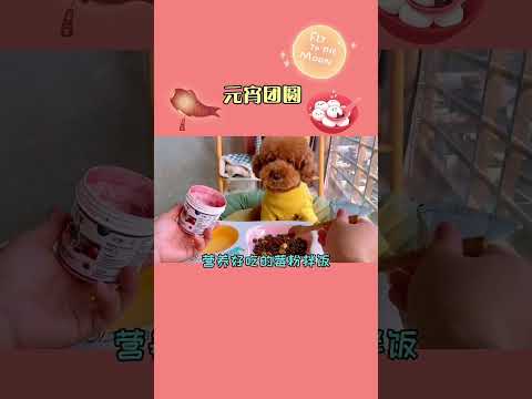 153 汤圆汤圆卖汤圆～ 02