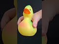 Squeaky Toy Duck Sounds For Dogs Soundsdogslove Funny Dogsound