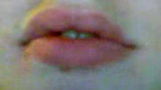 Die Prinzen - Mein bester freund