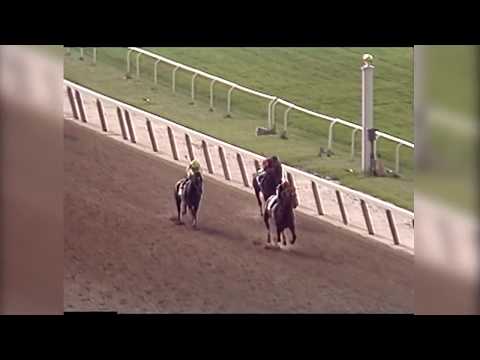 Easy Goer "In Their Own Words"