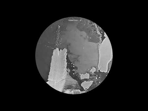 Florian Meindl x Anml Mthr - Mindhunter (Dub Version) [FLASH-X-017]