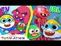 Baby Shark Plays The Best Friend Game W William Baby Shark S Big Show Toys Toymation