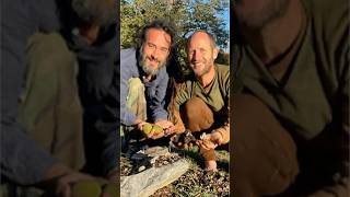 Black Walnut, Fantastic Wild Food