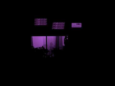Nerka - Peach (Audio)