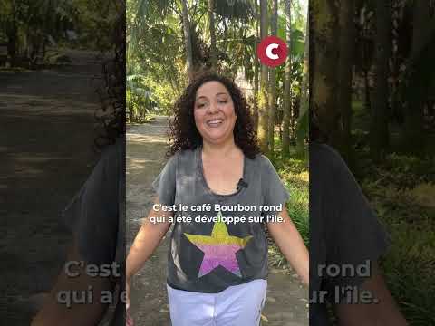 Domaine du Café Grillé : ils cultivent un café rare et d'exception