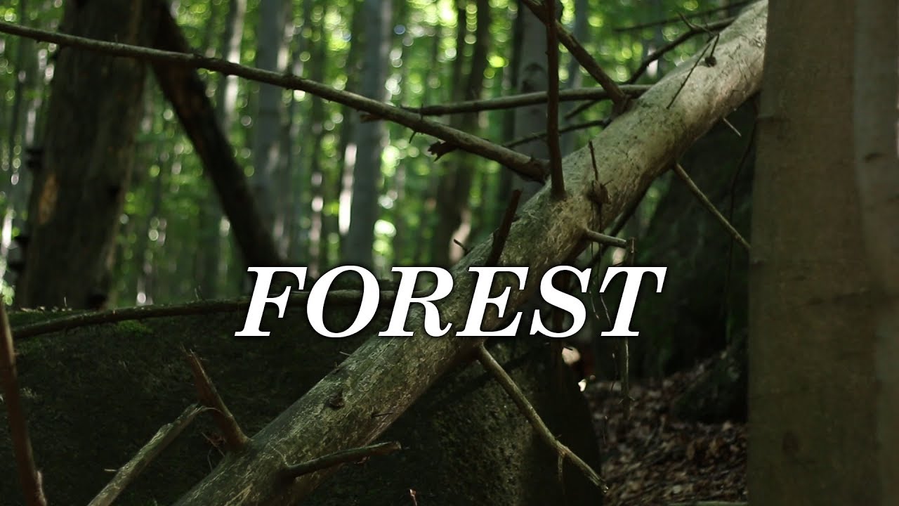 Forest - Short Film / Canon 70D