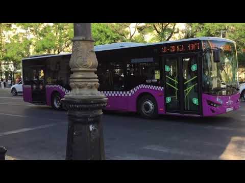 / Baku, metrô Elmler Akademiyasi