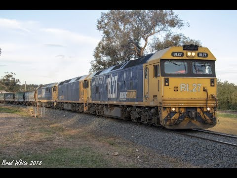 BL27, BL31 and 8149 on 7936V Ouyen to North Geelong grain at Maryborough- 14/10/18