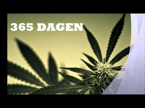 BIGBOYK - 365 Dagen (Teveel Kush)