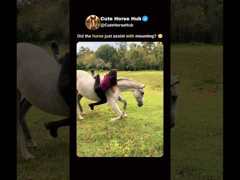 Did the horse just assist with mounting? 😳