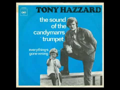 TONY HAZZARD - Everything's Gone Wrong