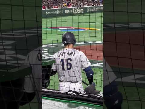 ネクストバッターズサークルにいる大谷翔平 #大谷翔平 #shoheiohtani #wbc