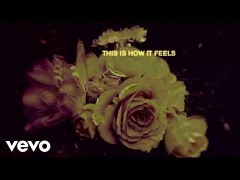 d4vd - This Is How It Feels (with Laufey) [Official Lyric Video]