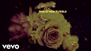 Musik-Video-Miniaturansicht zu This Is How It Feels Songtext von ​d4vd