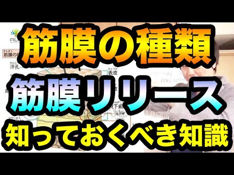 C-Trainについて詳しく解説